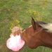 Scott Blythe - Facebook