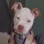 Scott Bobbitt - @scottbobbitt622 - Instagram