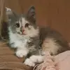 scottbobby - @scottbobie - TikTok