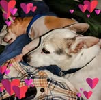 L Scott Boyles - Facebook