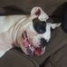 Scott Bockelman - Facebook