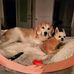 Scott Bockholt - Facebook