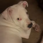 Scott Bodine - Facebook