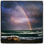 Scott Bodley - @scottbodley - Instagram