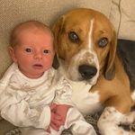 Scott Bodman - @bodmanscott - Instagram