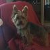 Scott Bodman - Facebook