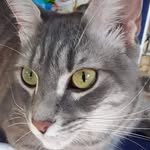 Memory Scott Bohannon - @memoryscottbohannon - Instagram