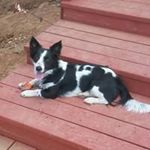 Scott Bohl - @scott_bohl - Instagram