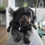 Scott Bohlen - @scottbohlen - Instagram