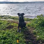 Scott Bohler - Facebook