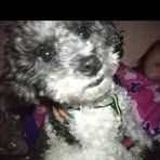 Scott Bolinder - Facebook