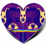 scott bollman - @scottbollman - Instagram