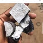Scott Bollman - @scotty.b.bo - Instagram