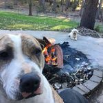 Scott Bollmann - @bollmannscott - Instagram