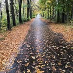 Scott Milne - @scottybonzo - Instagram