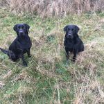 Scott Boon - @scott.boon.104 - Instagram