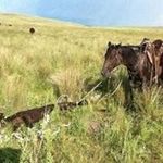 Scott Boos - @scott_boos - Instagram