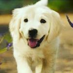 Scott Baker - @scott_got_bopped - Instagram