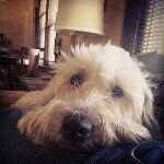 Scott Borcherding - @scobor854 - Instagram
