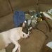 Scoott Boyer - Facebook