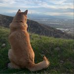 Scott Bork - @scootterbork - Instagram