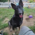 @scott_bottoms1 - Instagram