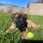 Scott Boughner - @scott_b_79 - Instagram