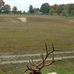 Scott Boughner - Facebook