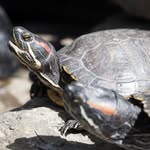 Scott Bourque - @scott.bourque - Instagram