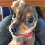 Scott Bowie - @sirscottbowie - Instagram