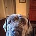 Scott Bowie - Facebook