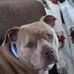 Scott Bowman - Facebook