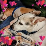 L Scott Boyles - @boyles6780 - Instagram