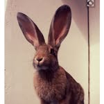Scott Bozeman - @scottbozeman - Instagram