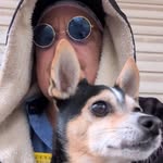 Scott Branchaud - @scottbranchaud - Instagram