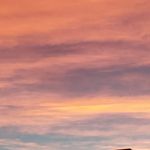 Scott Brandenburg - @brandenburg8912 - Instagram
