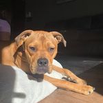 Scott Brannen - @scottbrannen10 - Instagram