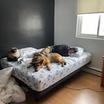 Scott Brant - @scottskiing - Instagram
