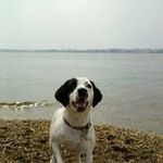 Scott Brant - @rvthobie - Instagram