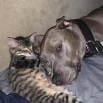Scott Bredeson - Facebook