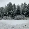 scottbrigham440 - @scottbrigham440 - TikTok