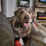 Kimberly Scott Brodsky - @kimberlybrodsky - Instagram