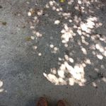 scott brogdon - @scottyb1943111 - Instagram