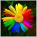 Scott Bernstein - Facebook