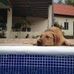 Scott Bronstein - Facebook