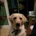 Scott Brookhart - Facebook