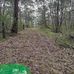 Scott Brough - Facebook