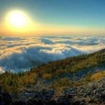 Scott Bruni - @scott.bruni.35 - Instagram