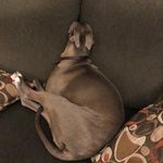 Scott W Bruni - @bruni.scott - Instagram