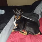 Scott Bryan - Facebook